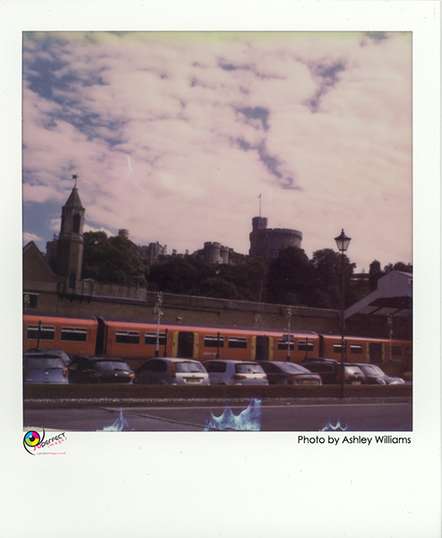 Week 42 of 52, Polaroid SX-70  | 1p3.jpg