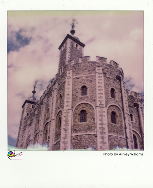 Week 42 of 52, Polaroid SX-70  | 1p10.jpg