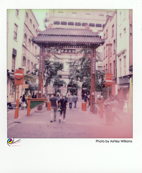 Week 42 of 52, Polaroid SX-70  | 1p16.jpg