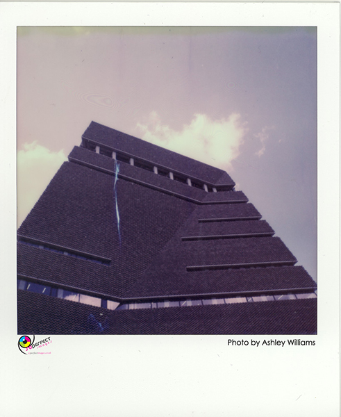 Week 42 of 52, Polaroid SX-70  | 1p5.jpg
