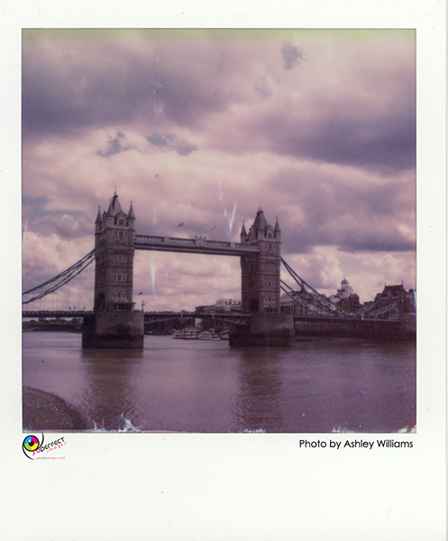 Week 42 of 52, Polaroid SX-70  | 1p11.jpg