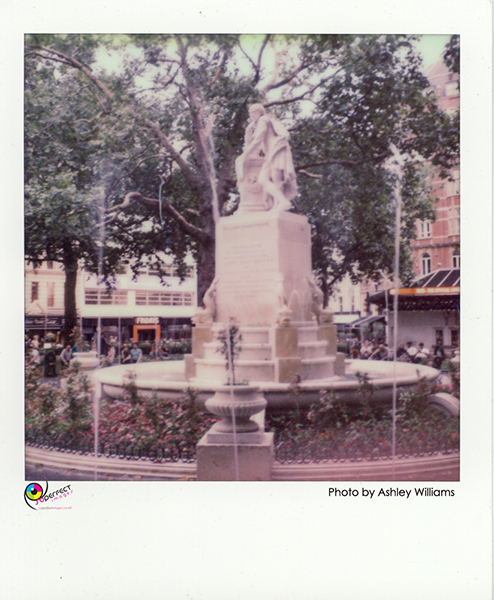 Week 42 of 52, Polaroid SX-70  | 1p13.jpg