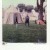 Week 42 of 52, Polaroid SX-70  | 1p9.jpg