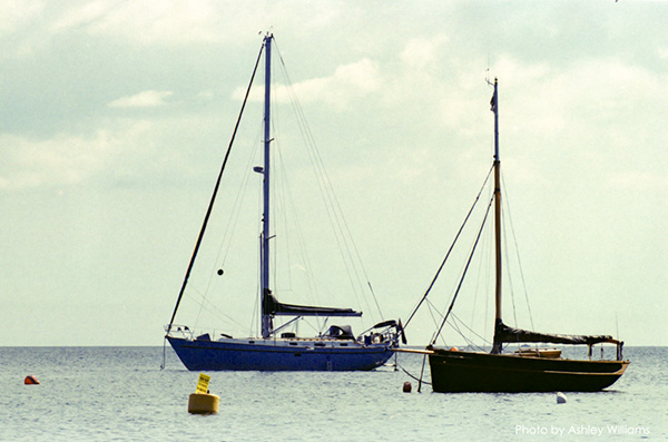 Week 44 of 52, Nikon F5 | k5.jpg