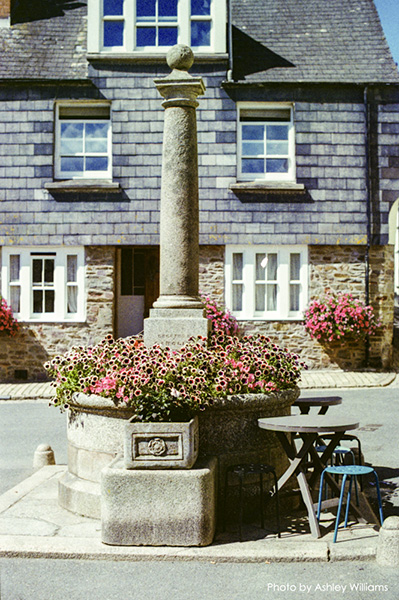 Week 44 of 52, Nikon F5 | k2.jpg