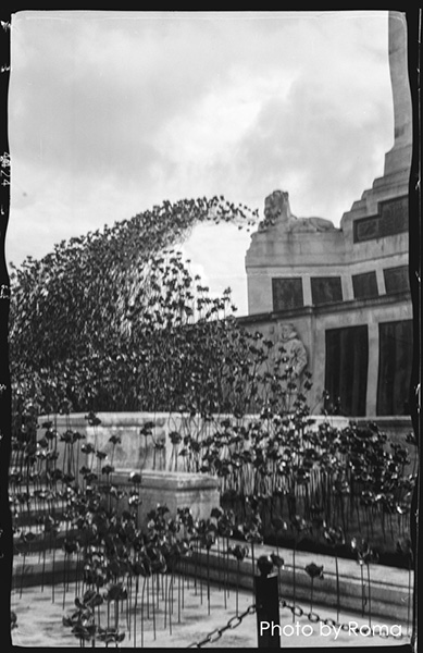 Kodak Vest Pocket - The soldiers camera | 1poppy1.jpg