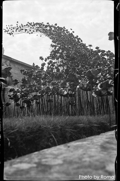 Kodak Vest Pocket - The soldiers camera | 1poppy8.jpg