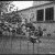 Kodak Vest Pocket - The soldiers camera | 1poppy5.jpg