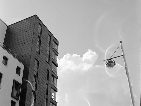 Week 47 of 52, Double Trouble | 2.jpg