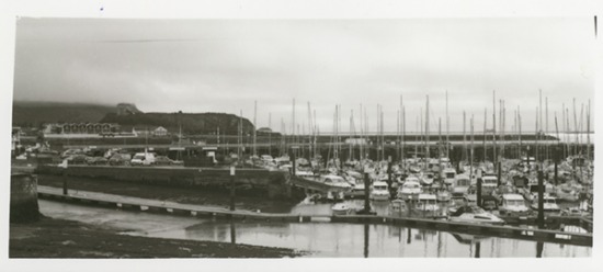 Week 51 of 52, Kodak 3a 