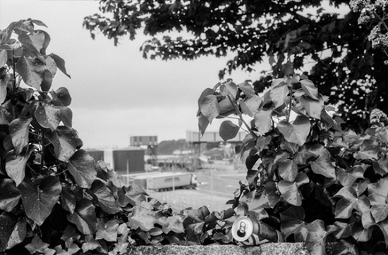 Film test - Kosmo  | 17.jpg