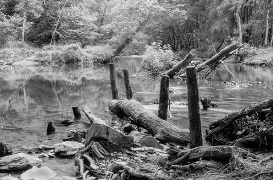 Film test - Kosmo  | 14.jpg