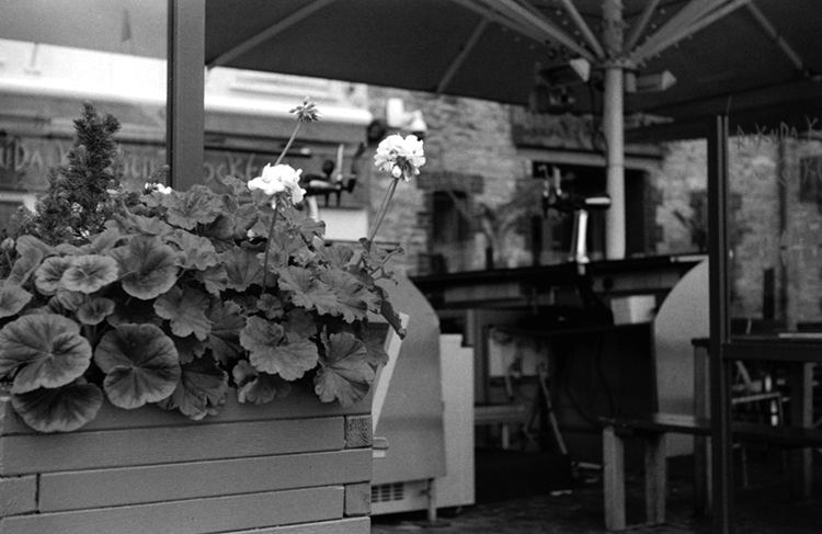 Film test - Leica iiic | leica_iiic__5.jpg