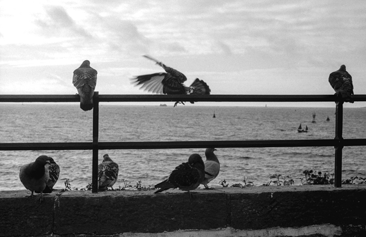 Film test - Leica iiic | leica_iiic__9.jpg