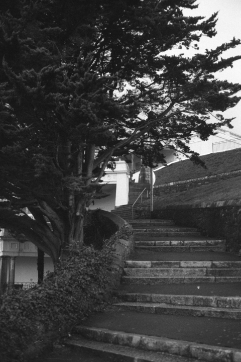 Yashica Electro 35 